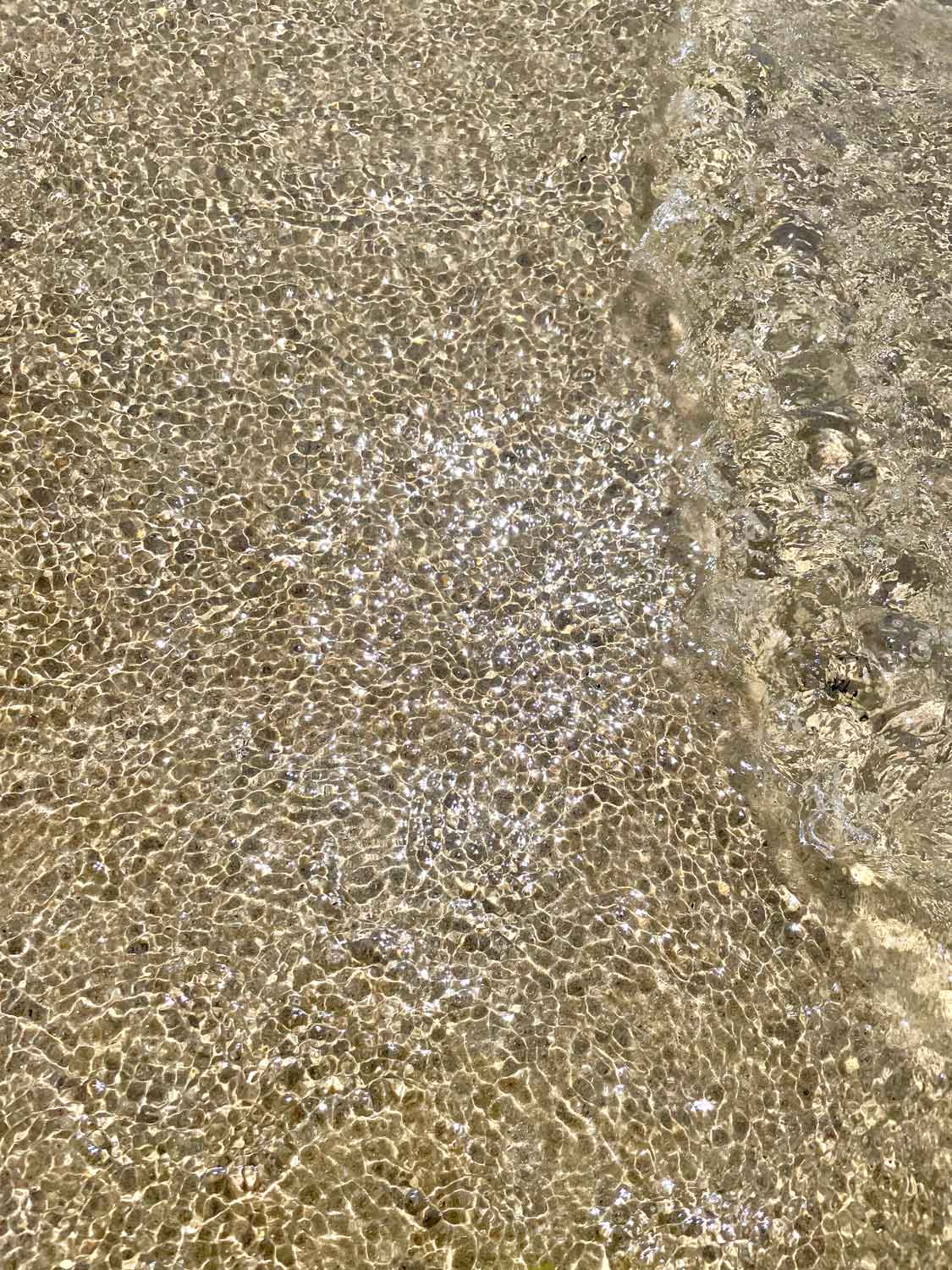 pic4